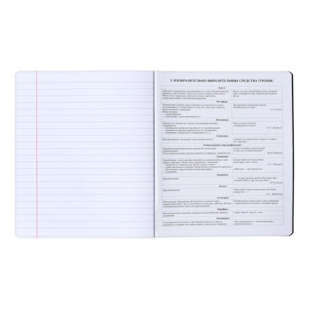 Subject notebook, 48 sheets, ruler, literature Erichkrause "Ves in the root", plastic cover silk-screen covers, Blok OFSET 100%, information block-4