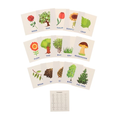 Training cards "Plants"