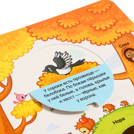 Play and Learn "Forest"-5