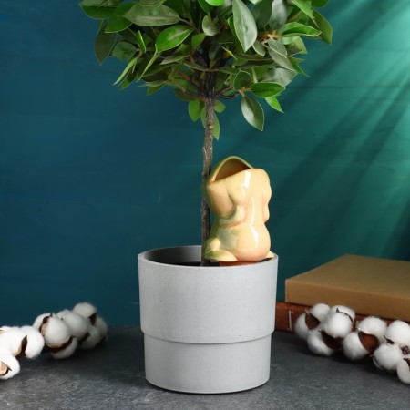 Waxing for home plants and garden "Frog" Kungur ceramics, 0.1l, 16cm, Green-1
