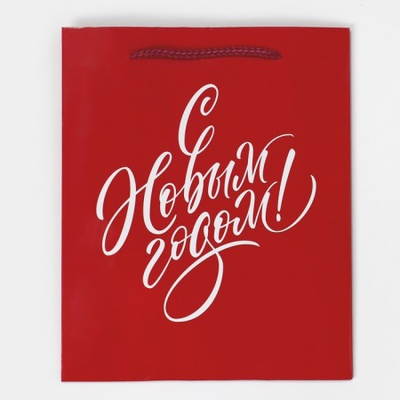 Laminated vertical packet “With a gift for you”, ML 21 x 25 x 8 cm, New Year-5