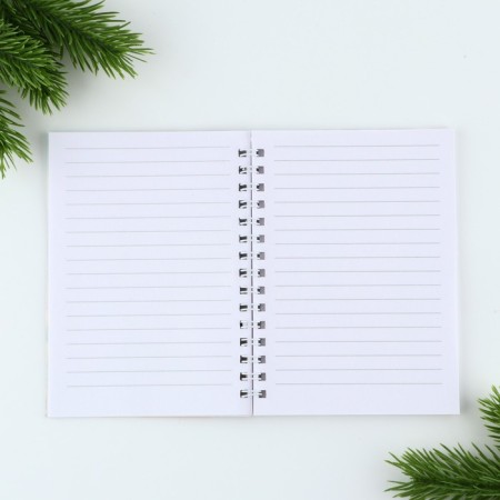 Gift New Year's set "For the Little Princess", pen, notebook A6, 40 liters-2