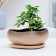 Pot "Bonsai Small" beige, 17x14x8cm