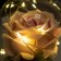 Spinker Sales "Pink Rose" LED 3AAA 8x8x17 cm Risalux