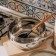 Stainless steel pan Sl Home "Olla", 5.2 l, d = 24 cm, h = 11.5 cm, with a lid, capsule, induction