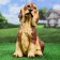 Garden figure "dog spaniel" red "red, 35x25cm