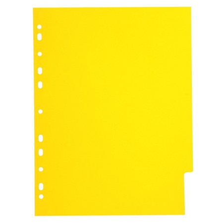A set of A4 Office-2000 sheets, 5 sheets without indexation, color, plastic 120 μm-4