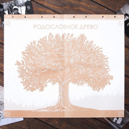 Родословная книга "Книга моей семьи", 84 страницы, 24 х 24 х 3 см.-8