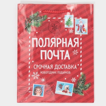 Laminated vertical "Polar Mail", MS 18 x 23 x 8 cm, New Year-5