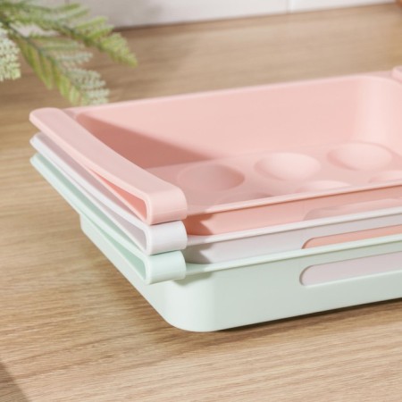 Shelf for eggs in the refrigerator, suspended, 12 cells, 26 × 17 × 5 cm, color mix-9