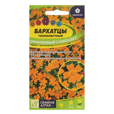 Flower seeds of velvet "orange gem", thin -leaved, seed. Alt, c/p, 0.1 g