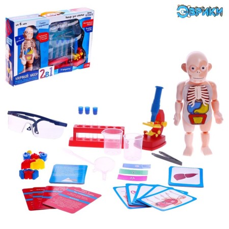 Set for experiments "Scientific set 2B1", model of the human body and laboratory dishes-1