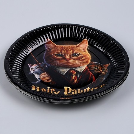 Disposable paper plate "Happy Birthday", magic cat, 18 cm-2