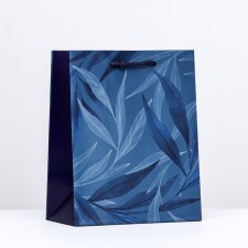 Gift package 