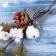 Decor "Winter charm" bumpy apple berries in the snow bow 29 cm