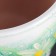 Flower Gerbera Green Potter 2.5 liters