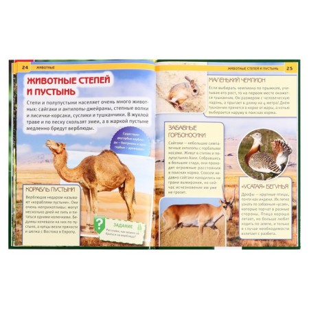 Encyclopedia with developing tasks "animals"-4