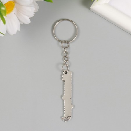 Metal keychain "Motivation" 0.9x5 cm-2