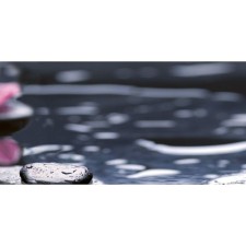 Вставка керамическая 50х25см Болеро Орхидея черный 10-04-04-162-2