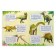 Stickers "Encyclopedia about dinosaurs and space", set of 2 pcs. 8 pp., A4 format