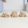 Set of figures "three owls" beige, 5cm