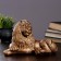 Piggy bank "Leo Lying Small" bronze, 28x15x18cm mix