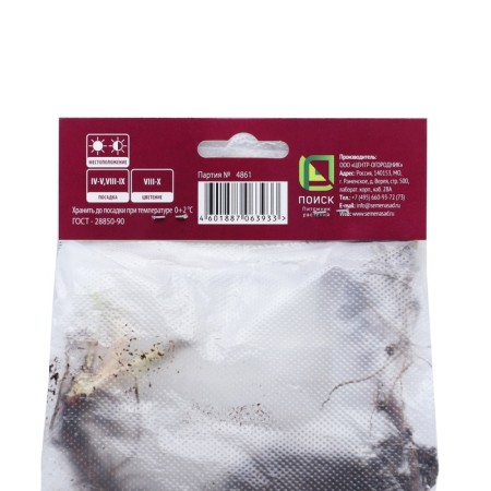 Astra Novobelgian Fallower, Rr. I, 1 pc, spring 2025-2