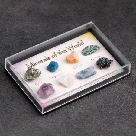 Collection of minerals, 8 pcs, 8x5.5x1.3 cm