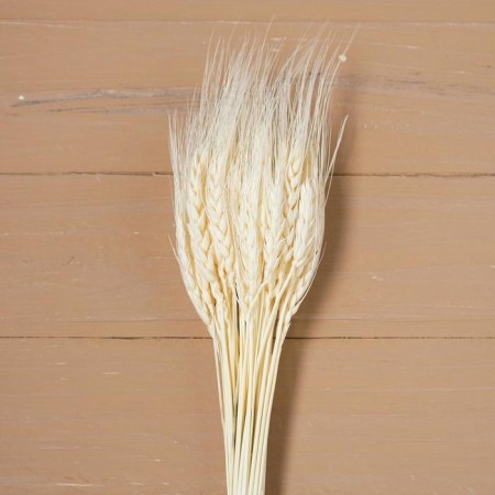 Dry Column of wheat, set 50 pcs., White color-2