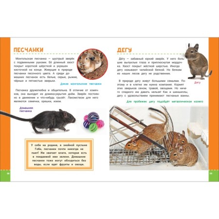 Encyclopedia of future excellent students-1