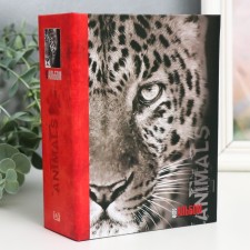 Photo album 