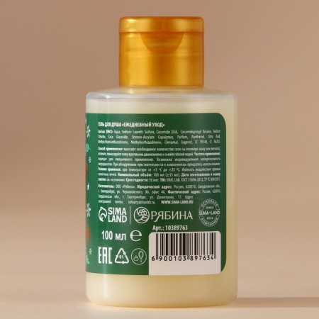 Shower gel, 100 ml, aroma of cinnamon rolls, Ural Lab-2