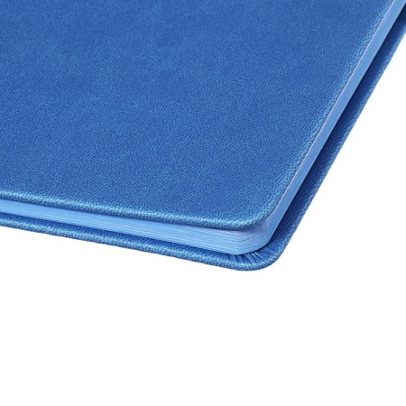 Universal Diary Grade 1-11, 48 sheets "Blue", a solid cover made of artificial leather, pancake embossing, Lasasse-4