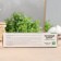 Body gel in the joints "7 notes of healthy doctor", 75 ml