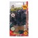 Basil seeds "Pomegranate muskat", 0.1 g