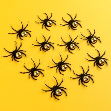 Spiders with gold, set 12 pieces