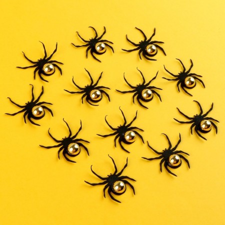 Spiders with gold, set 12 pieces