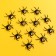 Spiders with gold, set 12 pieces