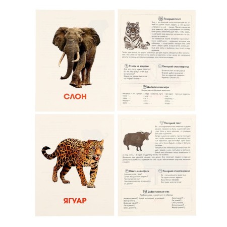 Training cards "Wild animals"-4