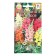 Flower seeds Lion Zev "Reinbow", 0.05 g