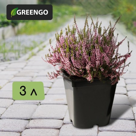 Pot for seedlings, 3 l, d = 16 cm, h = 16 cm, black, greengo