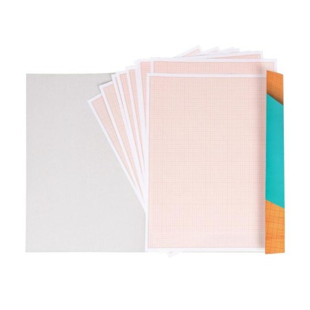 Large-scale-cordial A3 paper 10 sheets of Calligrata, orange mesh-2