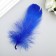 Decorative feathers "carnival", 5-8 cm (set 24 pcs) 6 colors, bright, assorted