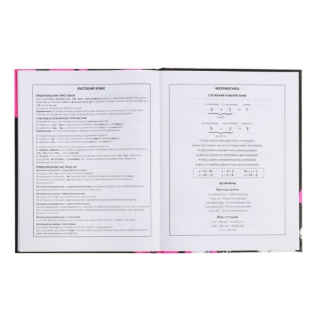 School diary for grades 1-11, 48 sheets "Rabbit Graffiti", hard cover, matte lamination, universal cheat sheet, block 65g/m2-10