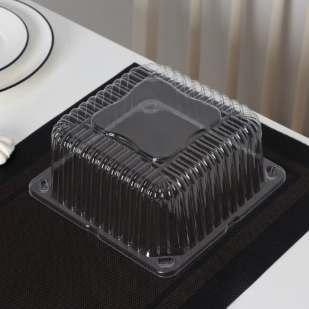 Cormore plastic disposable IP-43, cover 18.5 × 18.5 × 10.5 cm, internal 16 × 16 × 10 cm, 480 pcs/un-1