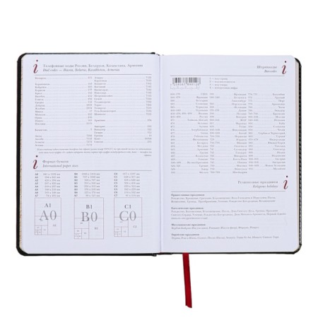 Diary of a low -end A5+, 136 sheets of Sidney Nebraska, hard cover, artificial leather, silver cut, black-8