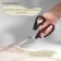 Clothing scissors, mowed blade, 9 ", 23.5 cm, black color