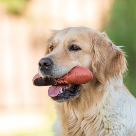Brying toy "Ship" for dogs, 17 cm, brown-4