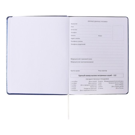 Universal diary for grades 1-11, hard cover, artificial leather, foam rubber, silkography, lies, 80 g/m2-3