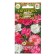 Flower seeds of clove "Diantus Plumaris", 0, 1 g 1029118